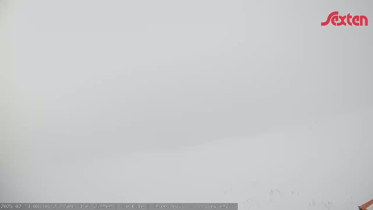 A mostly white, foggy or snowy outdoor scene with faint, dark outlines of vegetation visible near the bottom.