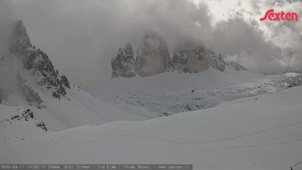 Snow-covered mountains partially obscured by fog are visible in the distance.