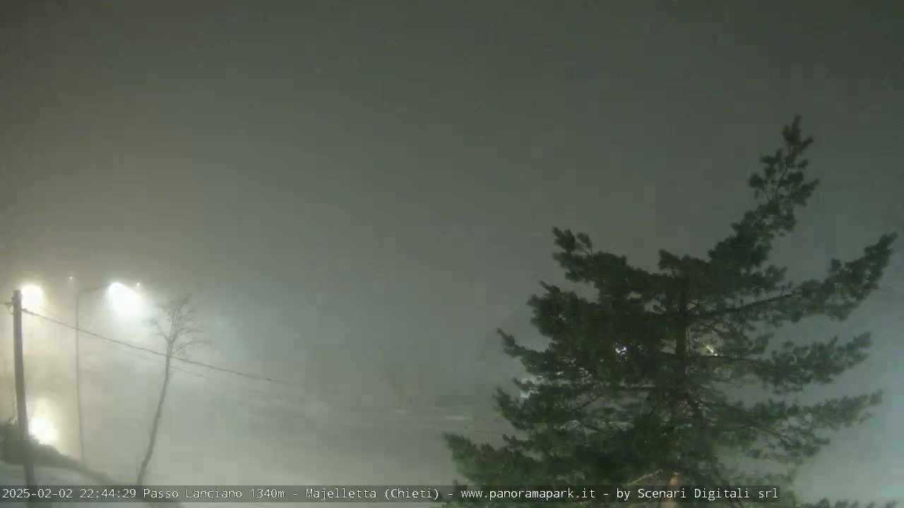 A nighttime scene shrouded in heavy fog shows a few dimly lit streetlights and the branches of a dark evergreen tree.