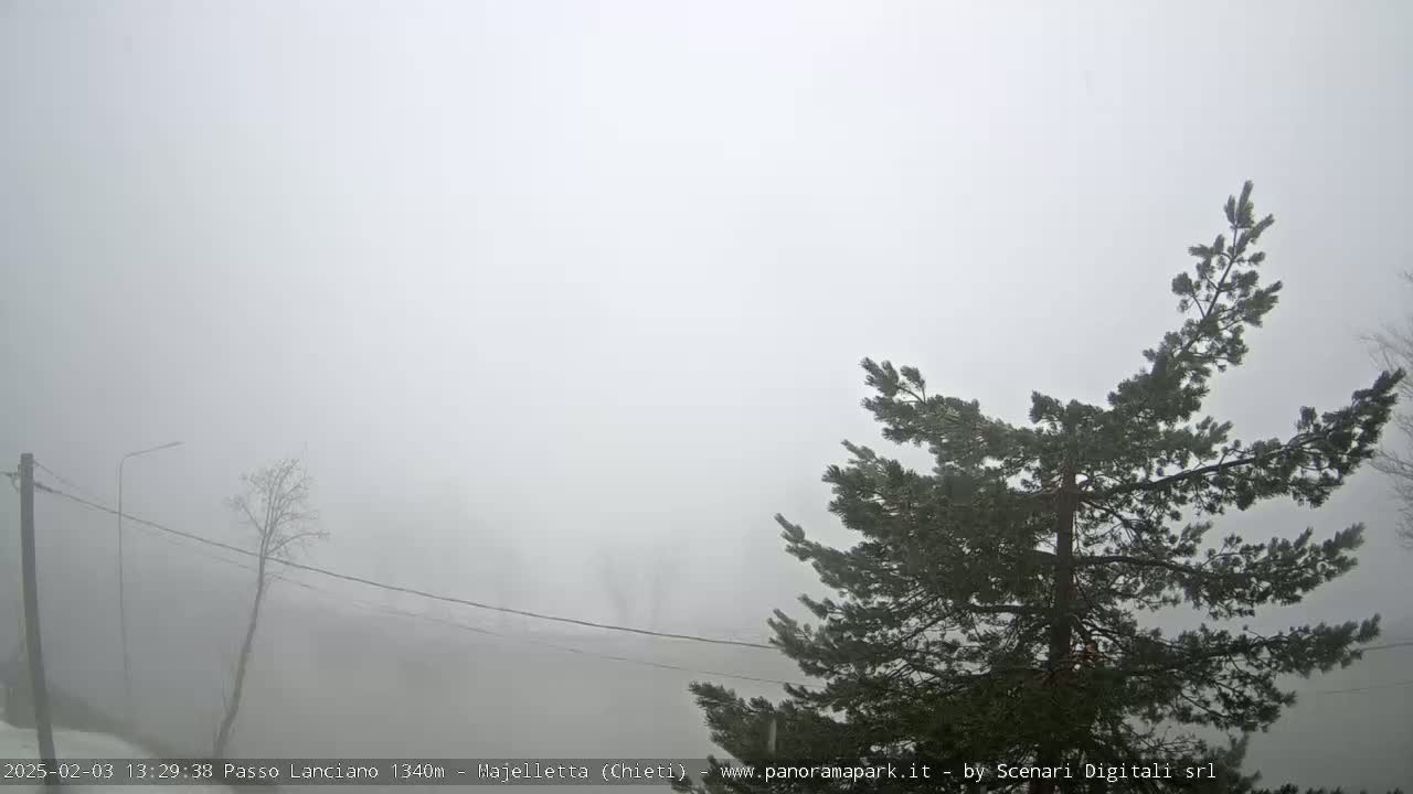 A foggy landscape is visible, featuring a few trees, utility poles, and wires.