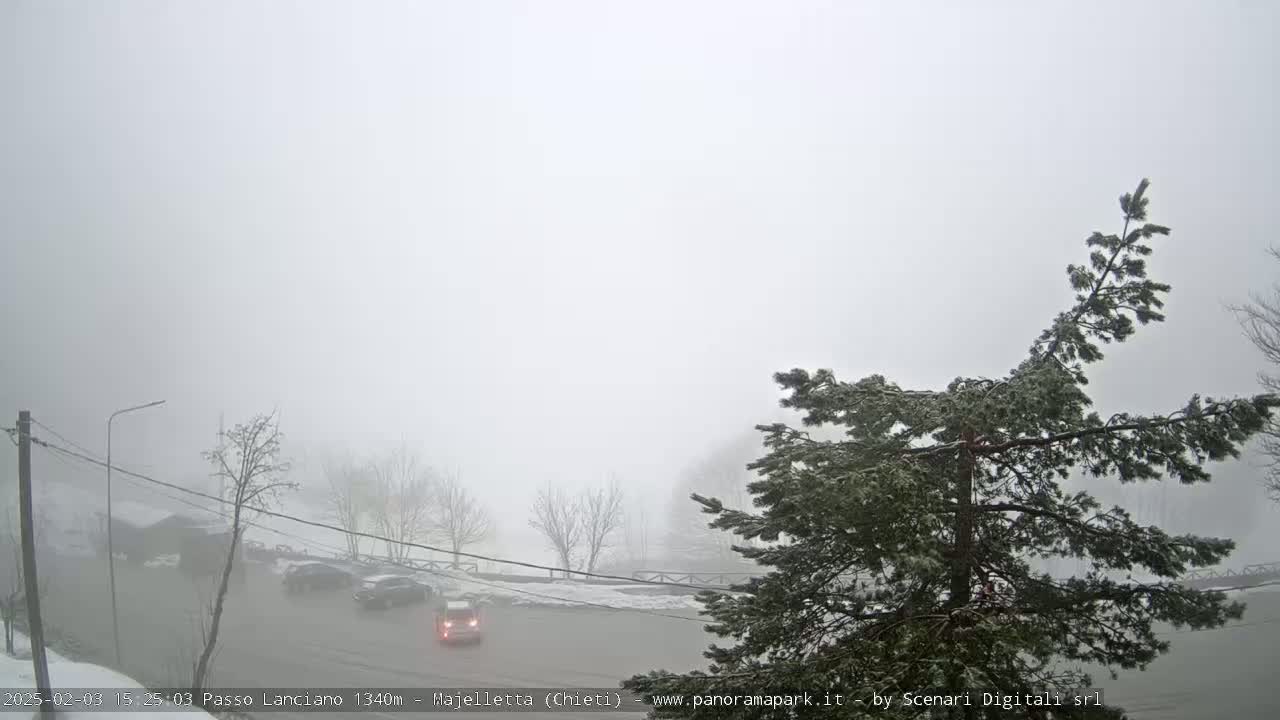 A foggy, snowy scene shows a road with a few cars, some snow-covered trees, and a building in the distance.