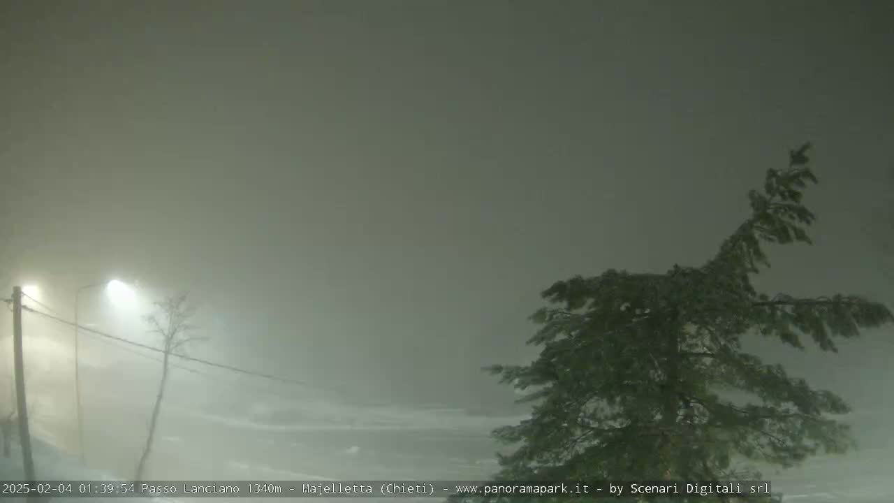A snowstorm obscures a view of a road, power lines, and a snow-covered tree at night, under dimly lit streetlights.