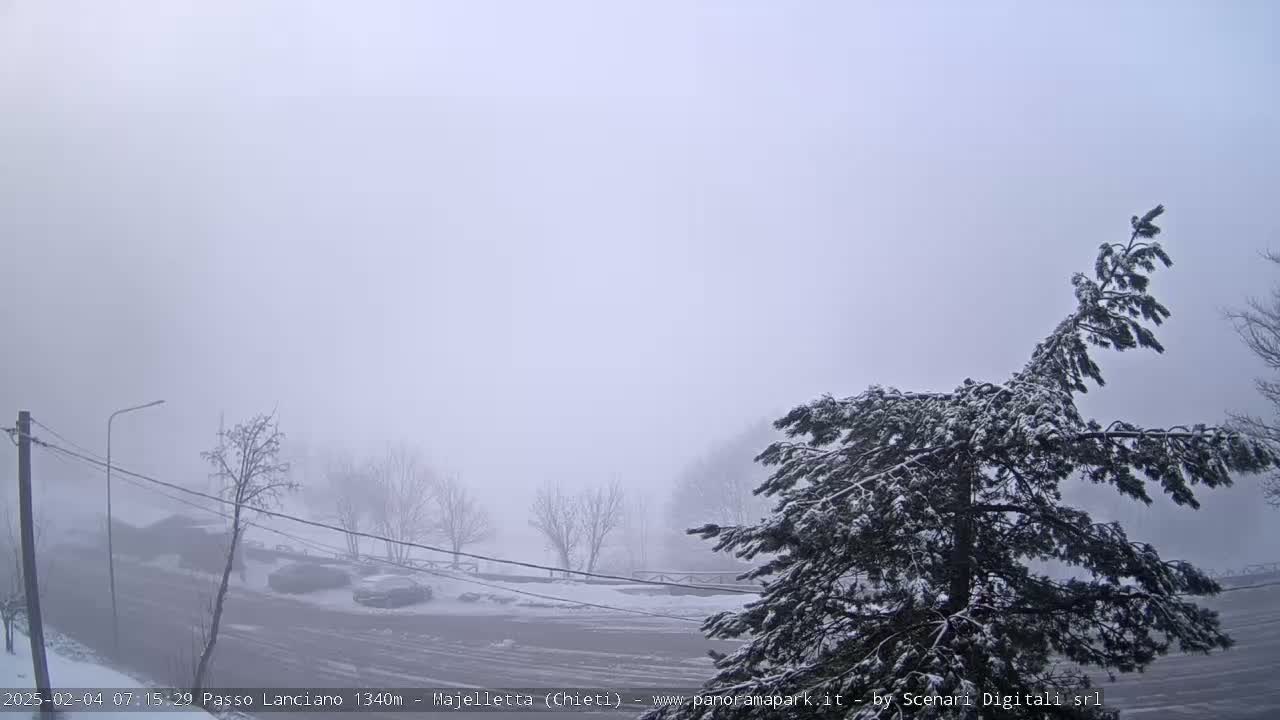 A snow-covered landscape is shrouded in thick fog, with a few cars visible in a parking area, and a snow-laden evergreen tree in the foreground.