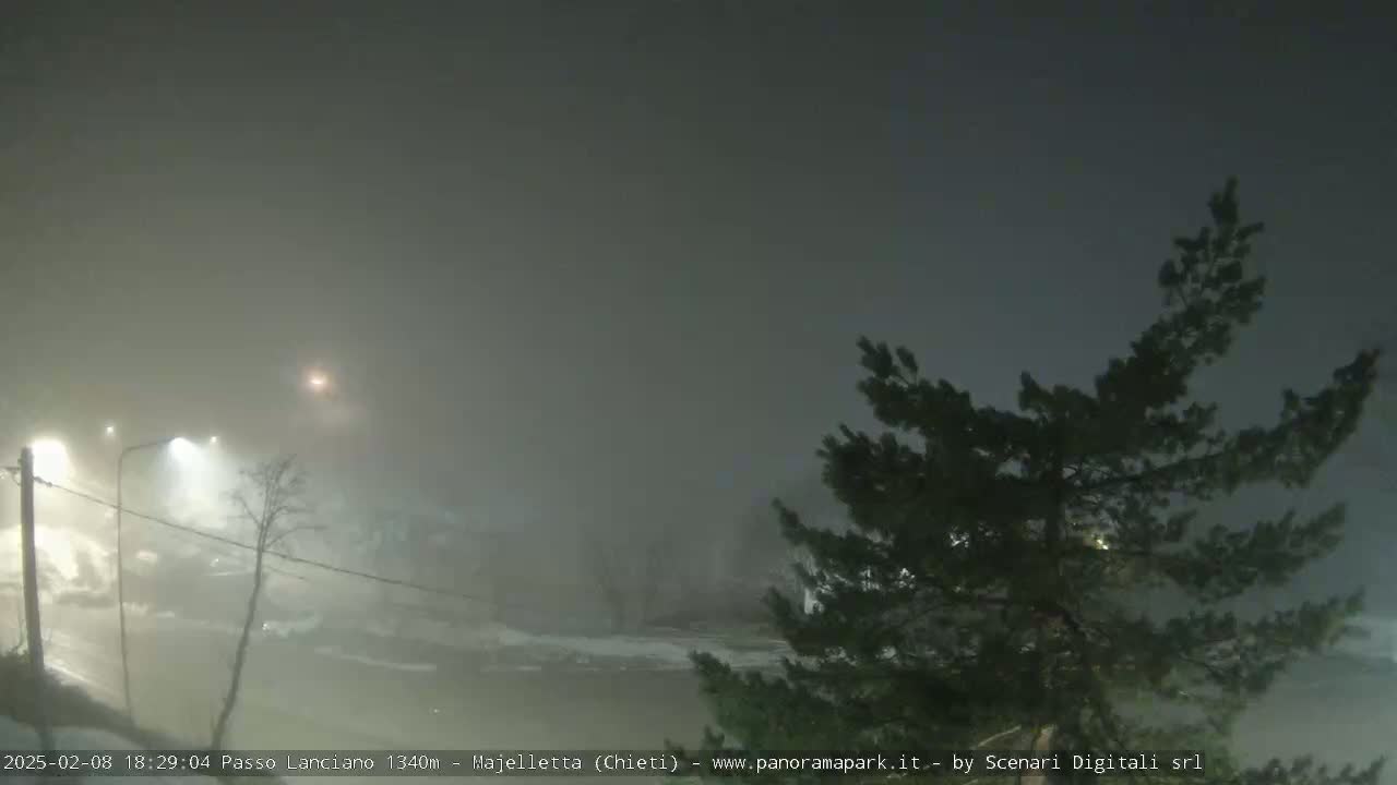 A foggy, nighttime scene shows dimly lit roads and trees, with a few lights visible in the distance.
