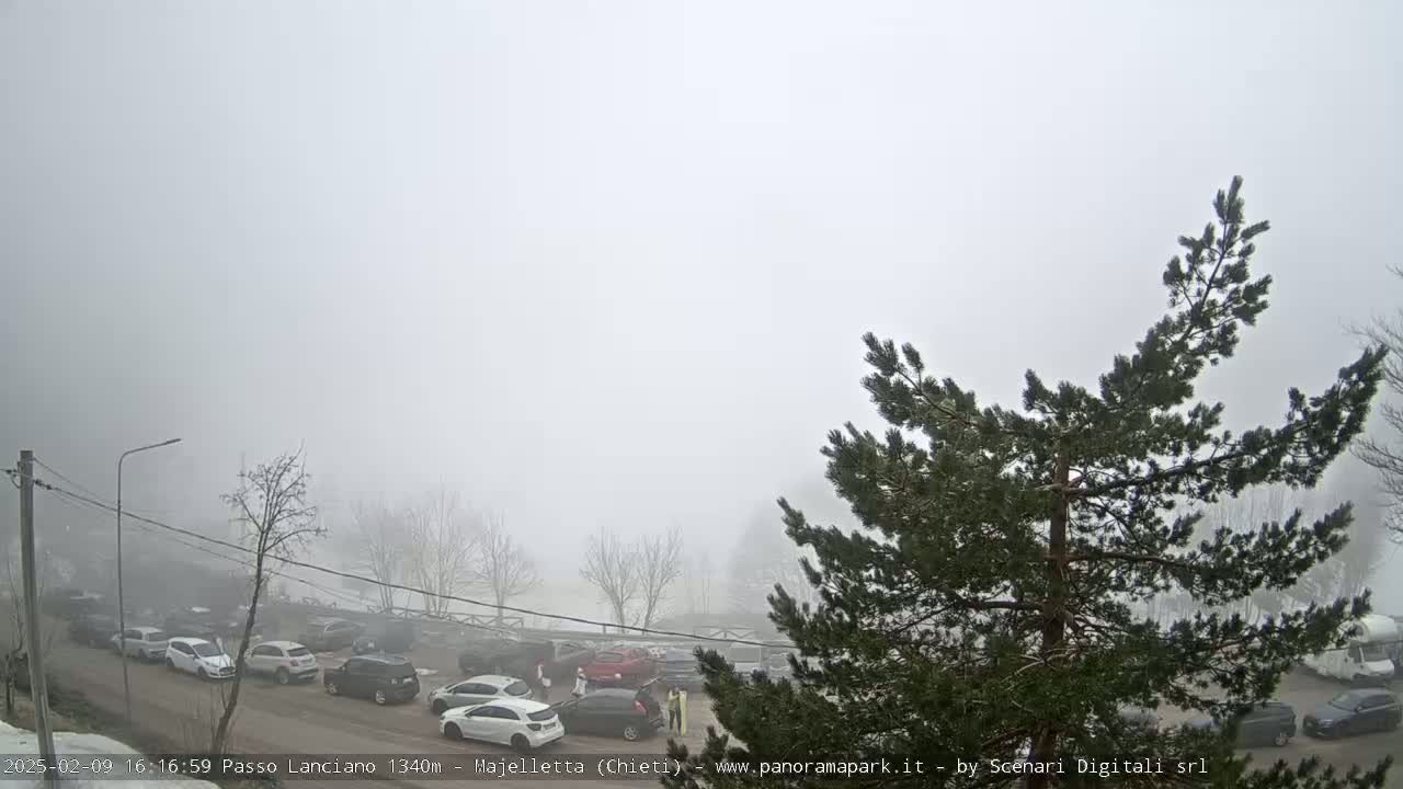 A foggy parking lot with several cars is visible, partially obscured by a pine tree in the foreground.