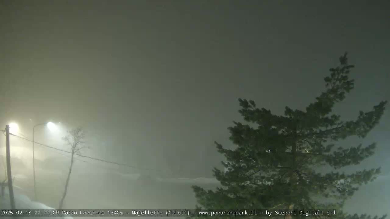 A snow-covered landscape is shrouded in thick fog at night, illuminated by streetlights, with a pine tree visible in the foreground.