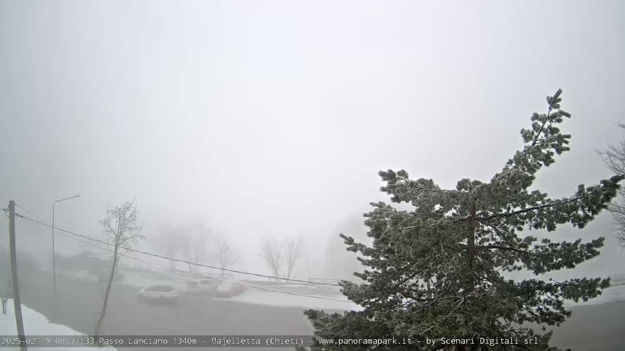A snow-covered evergreen tree is in the foreground, with a foggy, snowy parking lot and leafless trees visible in the background.