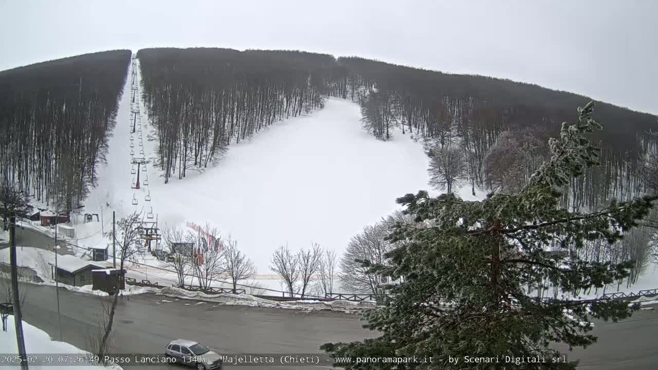 A ski lift ascends a snow-covered hill surrounded by a forest of leafless trees under an overcast sky.
