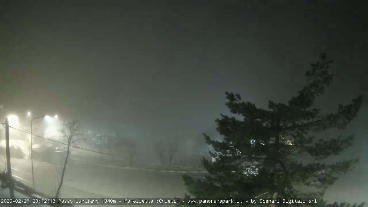 A foggy night scene shows a road with dim lights and sparse traffic, partially obscured by the fog, with a dark evergreen tree in the foreground.