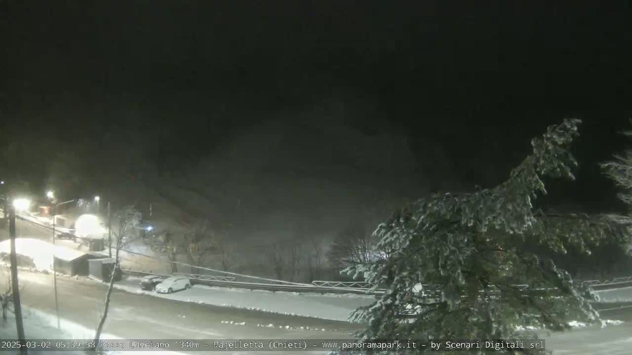 A nighttime scene shows a snow-covered road and landscape, with a few parked cars and a snow-laden tree in the foreground under dark, snowy conditions.