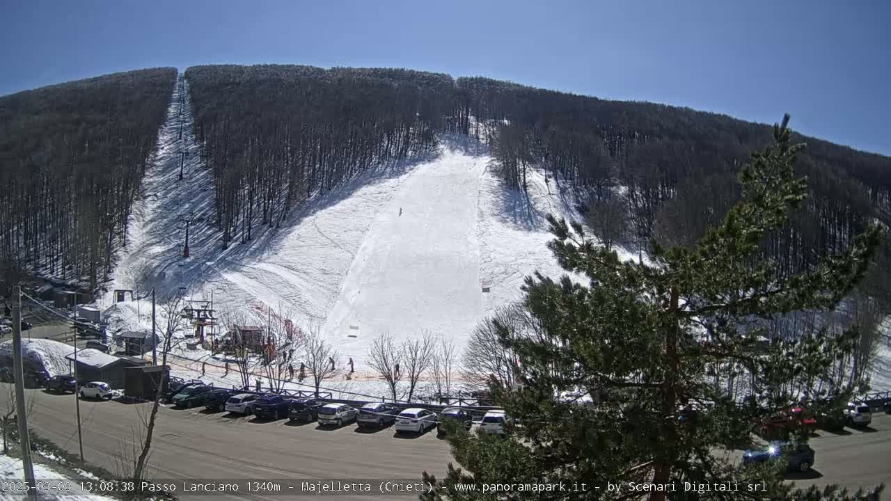 A snow-covered ski slope descends from a wooded mountain under a clear blue sky.