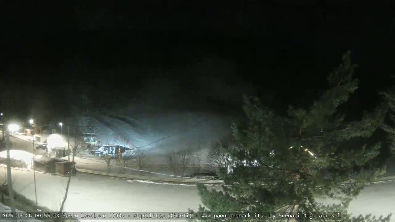 A nighttime, snowy scene shows a sloped area with lights and structures, partially obscured by blowing snow and tree branches.