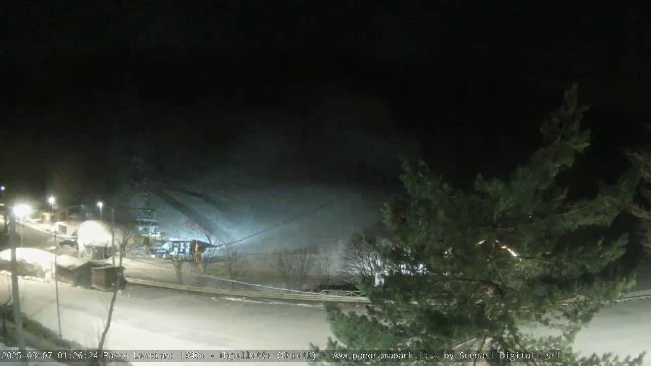 A nighttime, snowy scene shows a ski slope with some buildings and a tree in the foreground.