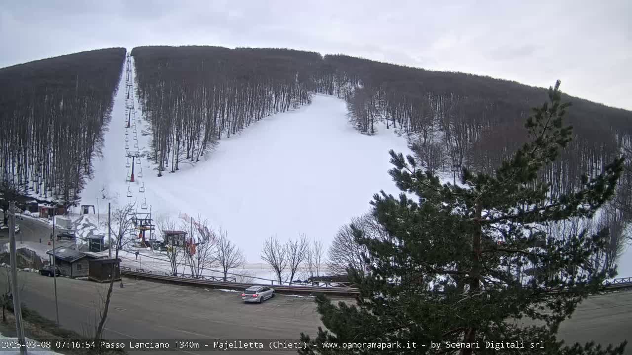 A ski slope with a chairlift and snow-covered trees under an overcast sky.