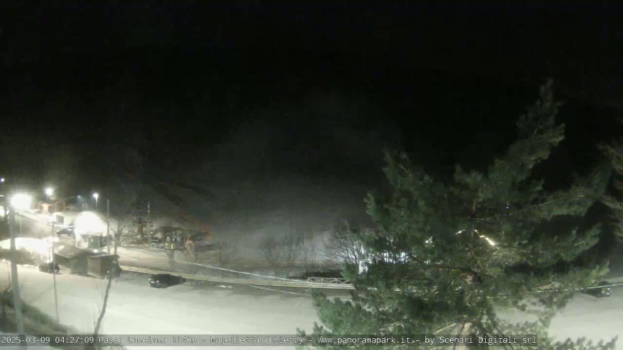 A nighttime, snow-covered scene shows a road with vehicles and buildings, partially obscured by trees and fog.
