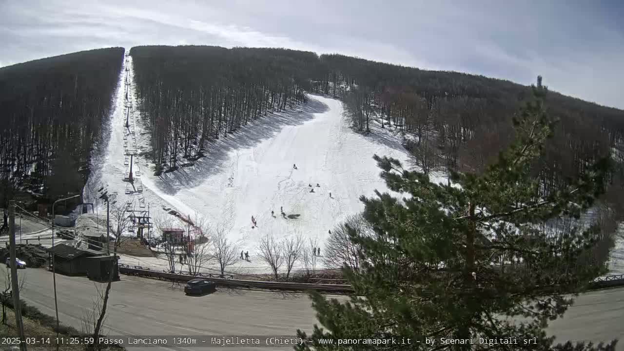 A ski slope with several people snow tubing and skiing on a sunny day, partially surrounded by a forest.