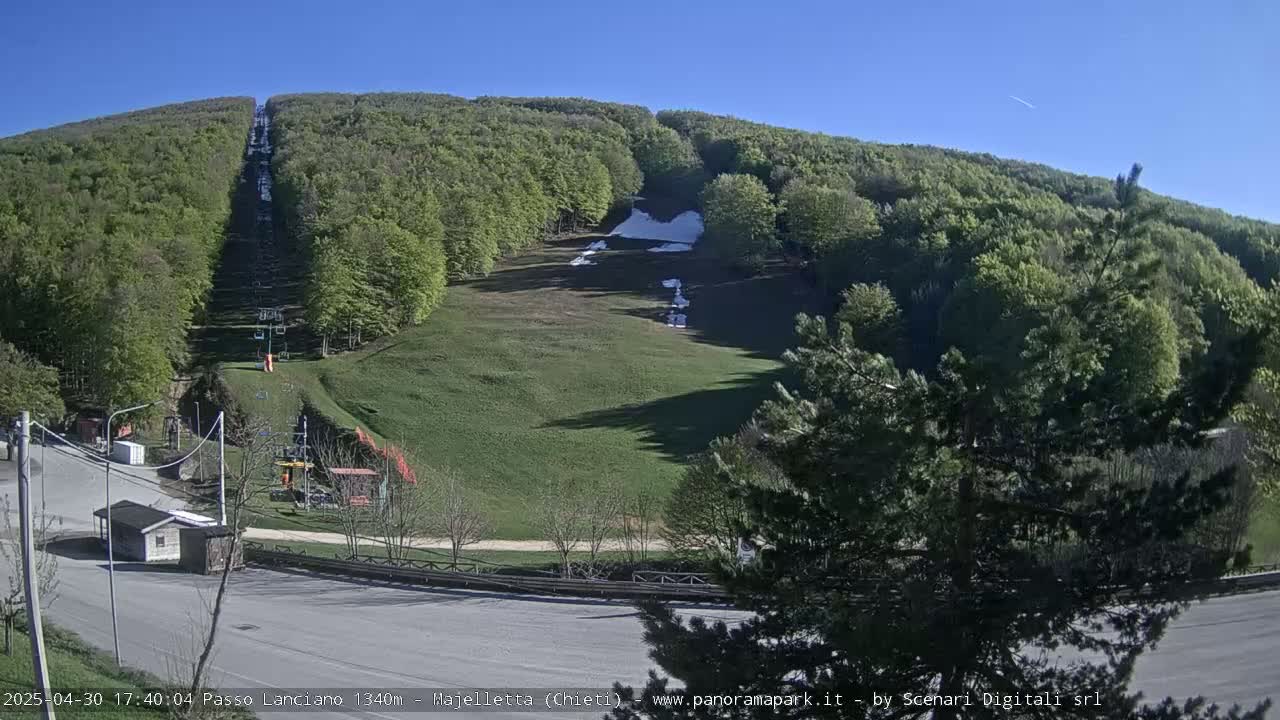 A ski lift ascends a grassy hill covered in lush green trees under a clear blue sky.