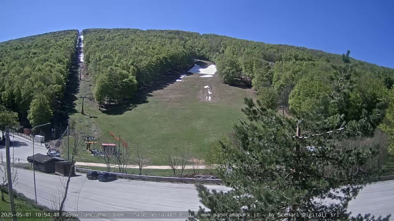 A ski lift ascends a grassy hill surrounded by lush green trees under a clear blue sky.