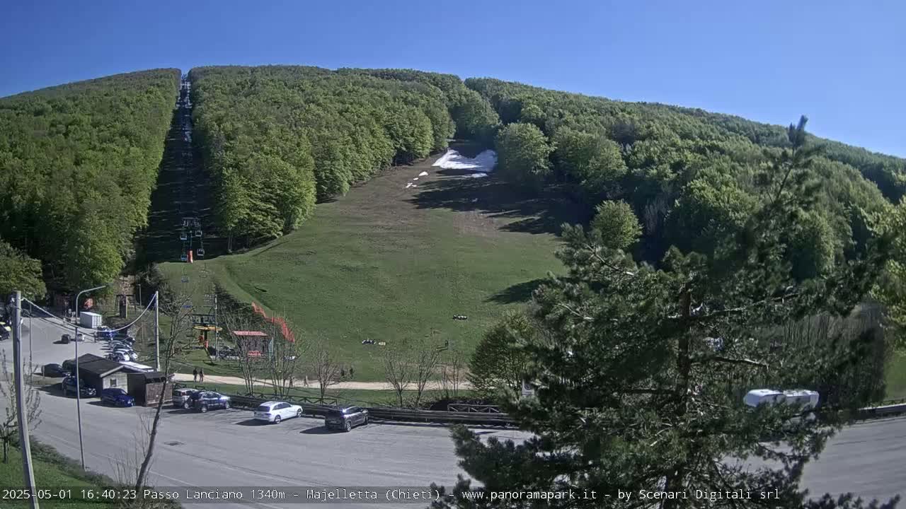 A chairlift ascends a grassy hillside covered in lush green trees under a clear blue sky.