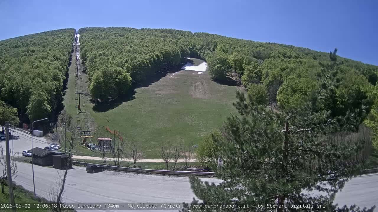 A ski lift ascends a grassy hill surrounded by lush green forests on a clear, sunny day.