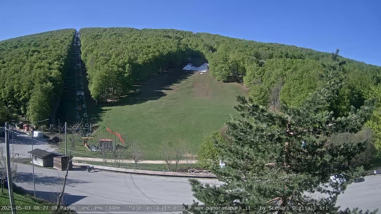 A chairlift ascends a grassy hillside covered in lush green trees under a clear blue sky.