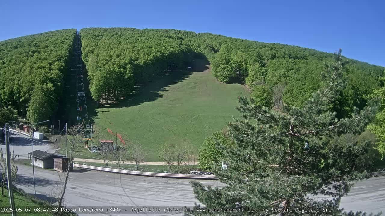 A chairlift ascends a grassy hillside covered in lush green trees under a clear blue sky.