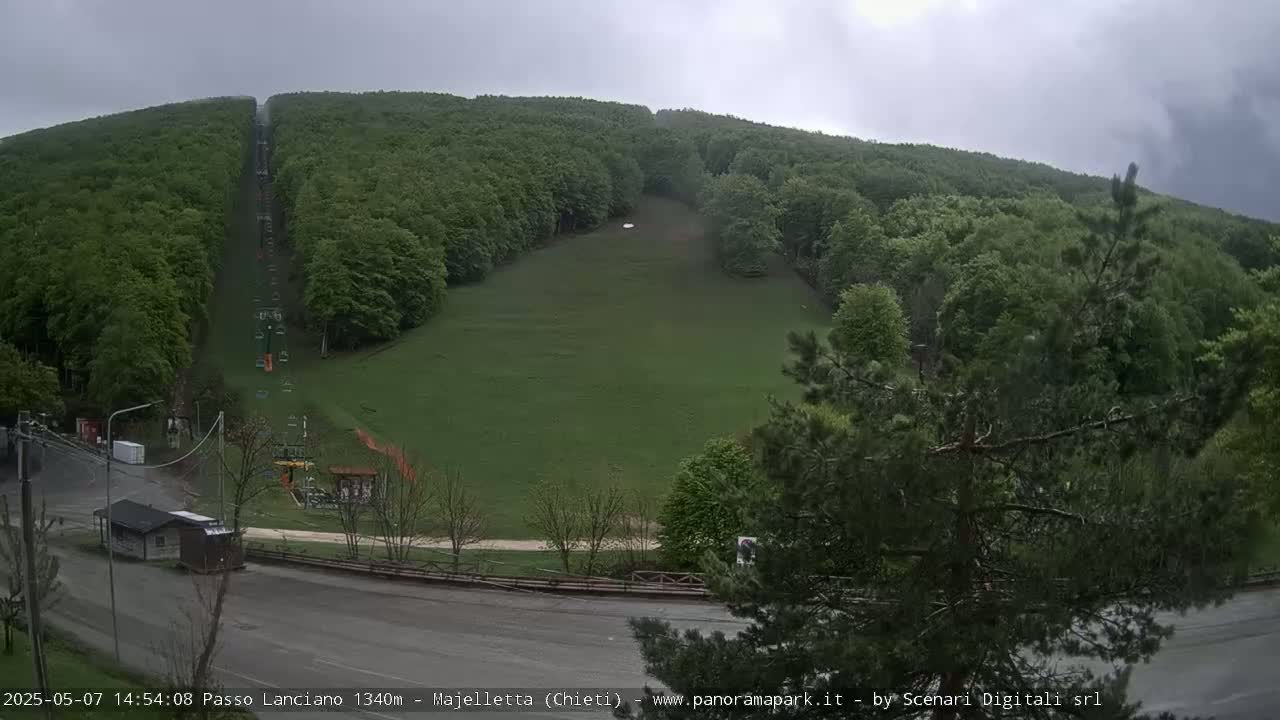 A chairlift ascends a grassy hill surrounded by a lush green forest under an overcast sky.
