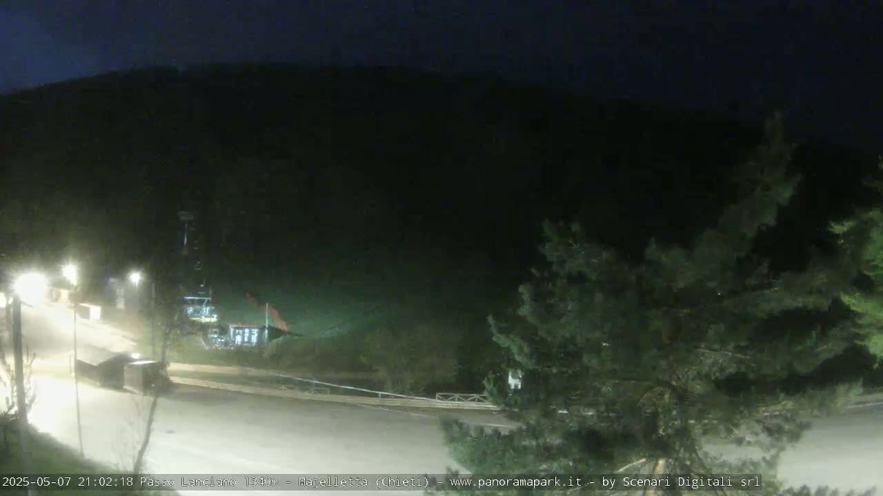 A nighttime view of a sparsely lit road leading to a dark mountainside, with some vegetation visible in the foreground.