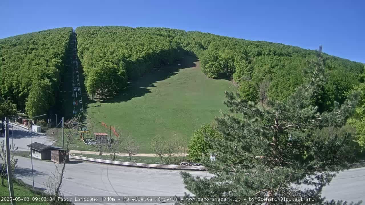 A chairlift ascends a grassy hill surrounded by lush green forests under a clear blue sky.
