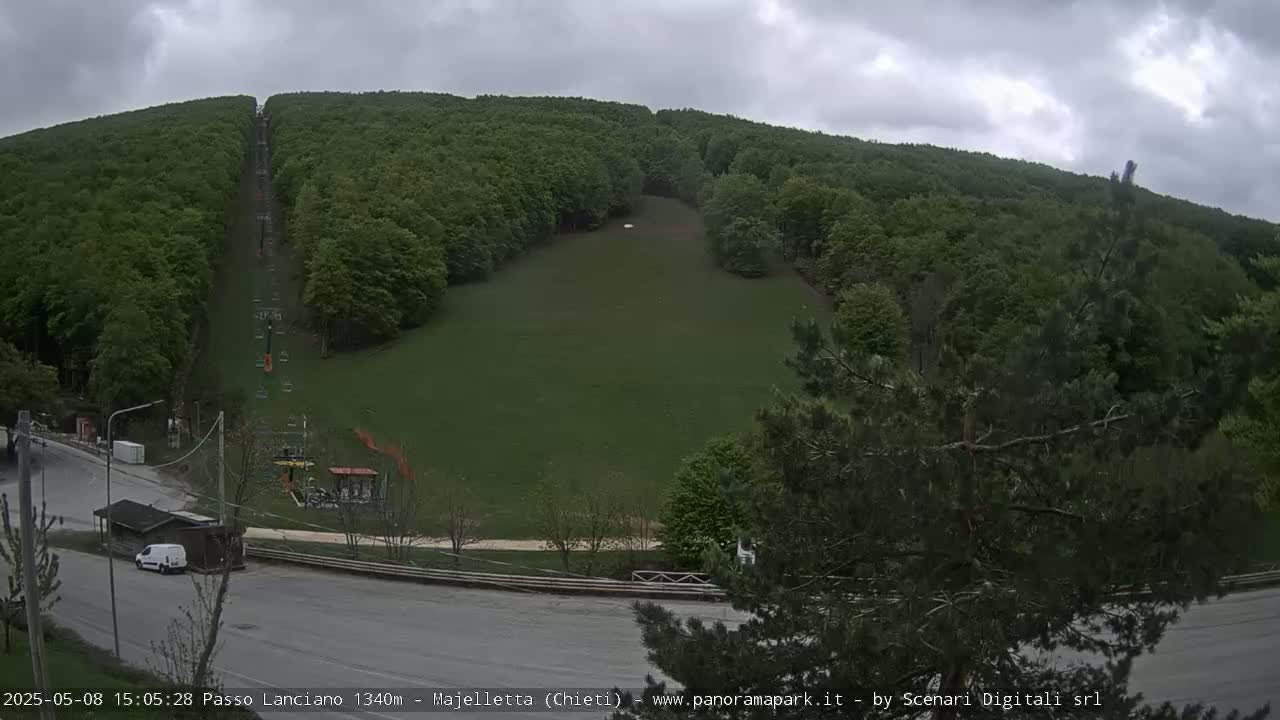 A chairlift ascends a grassy hill surrounded by lush green forests under an overcast sky.