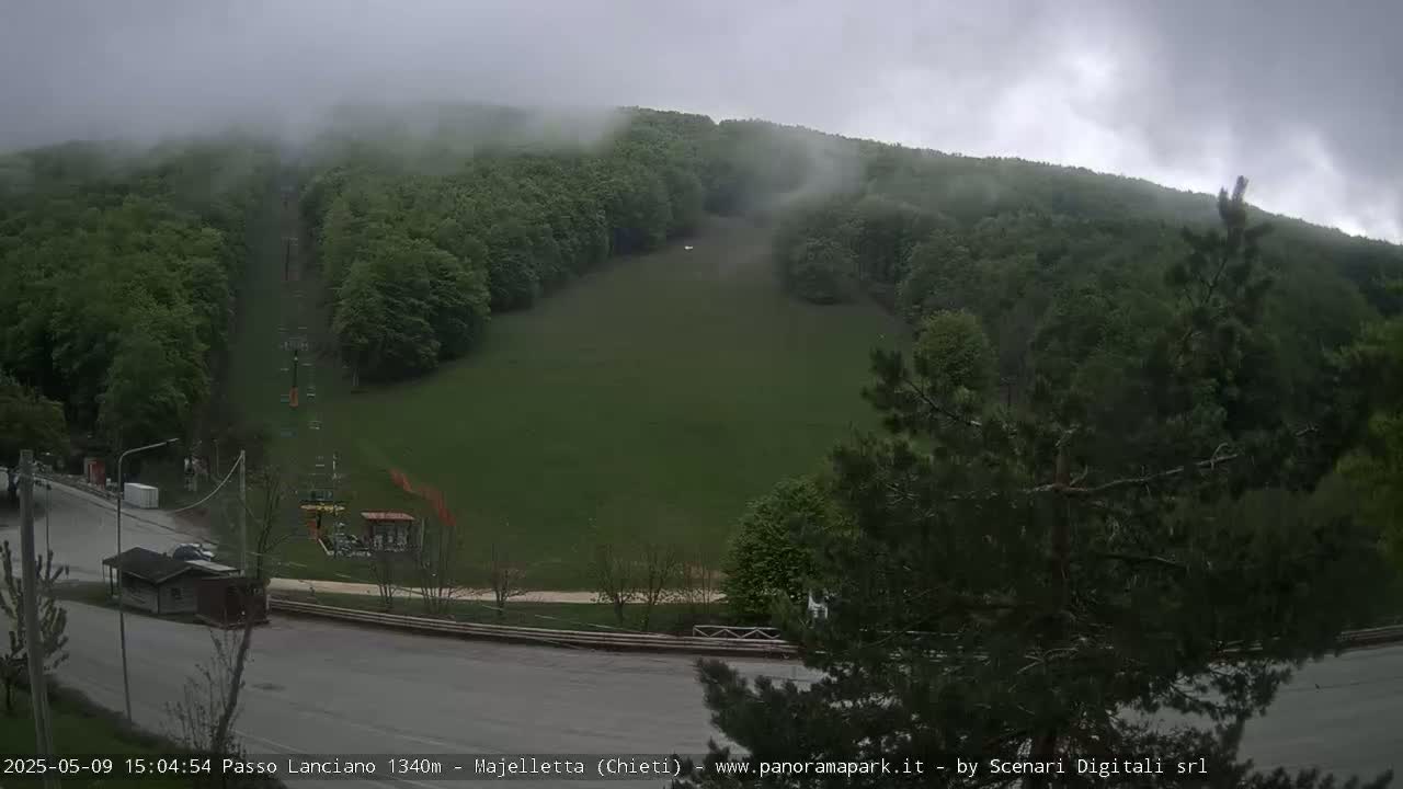 A foggy view of a grassy hill with a chairlift and surrounding forest.