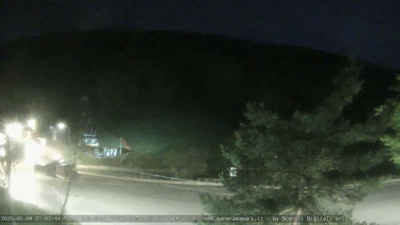 A nighttime view of a dark, mountainous landscape with a road and some vegetation, illuminated by artificial lights.