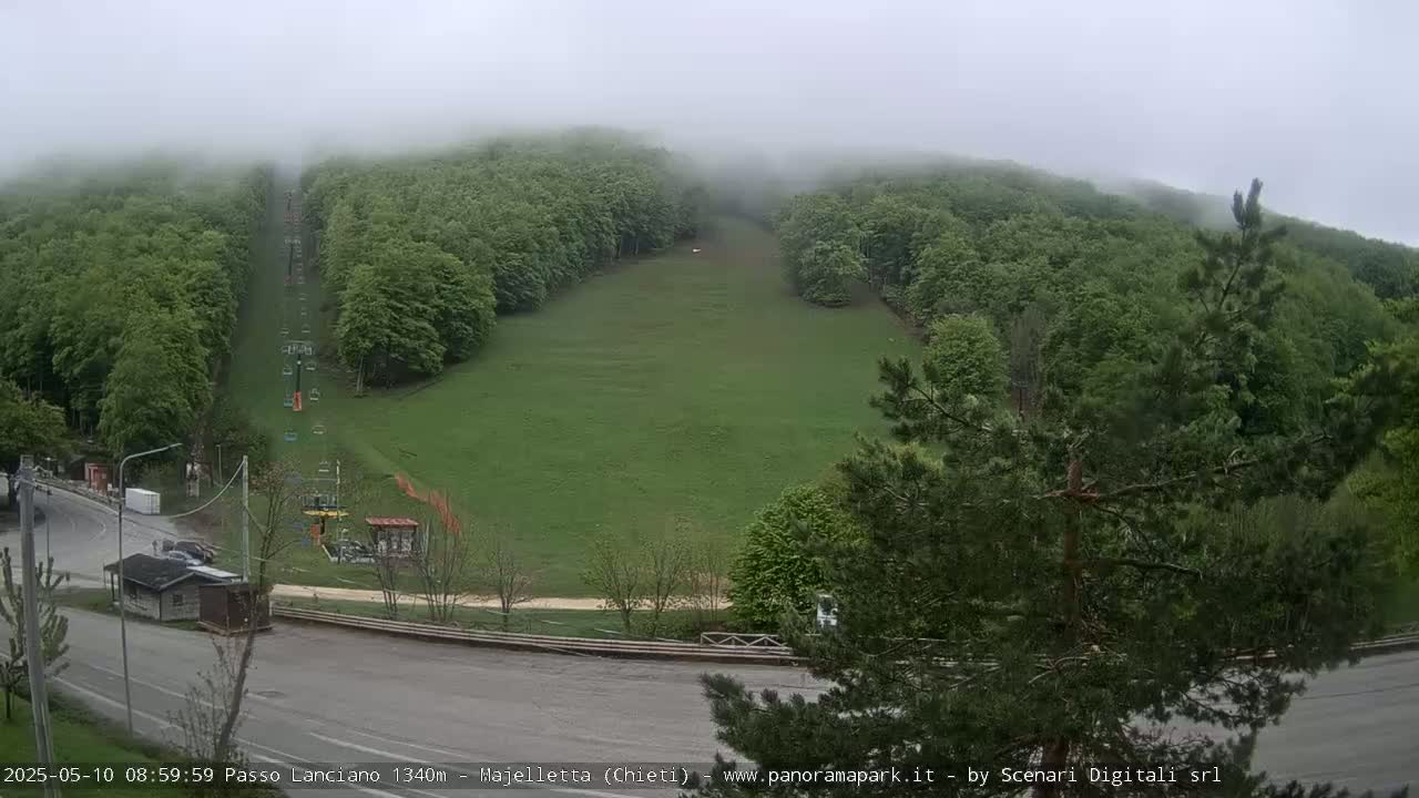 A grassy ski slope surrounded by a lush green forest is shrouded in fog, with a chairlift visible and a road leading to a small building near the bottom.