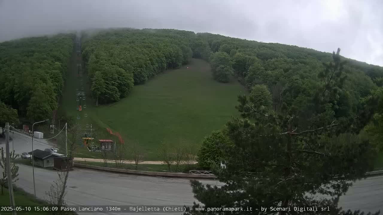 A chairlift runs through a grassy clearing between lush green forests under an overcast sky.