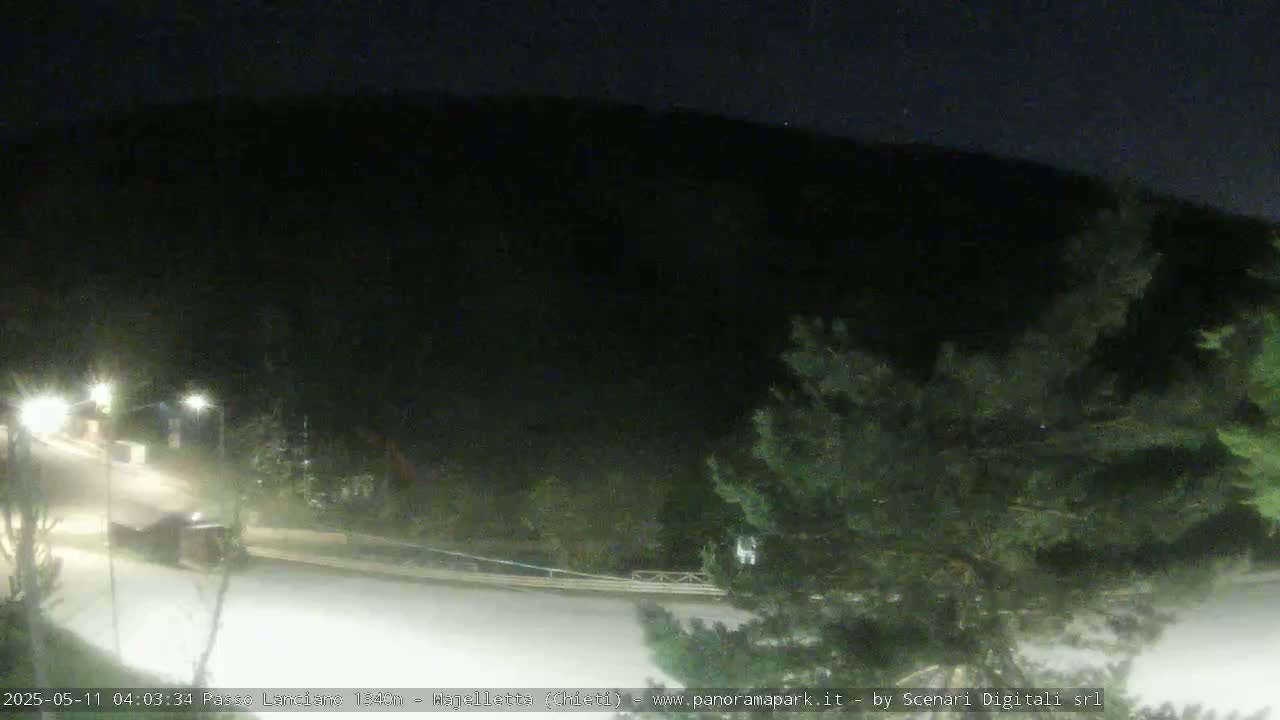A nighttime view of a dark, tree-lined hill overlooking a paved area with some lights and sparse vegetation.
