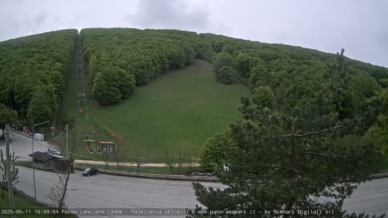 An overcast day reveals a grassy hillside with a chairlift ascending a forested mountain.