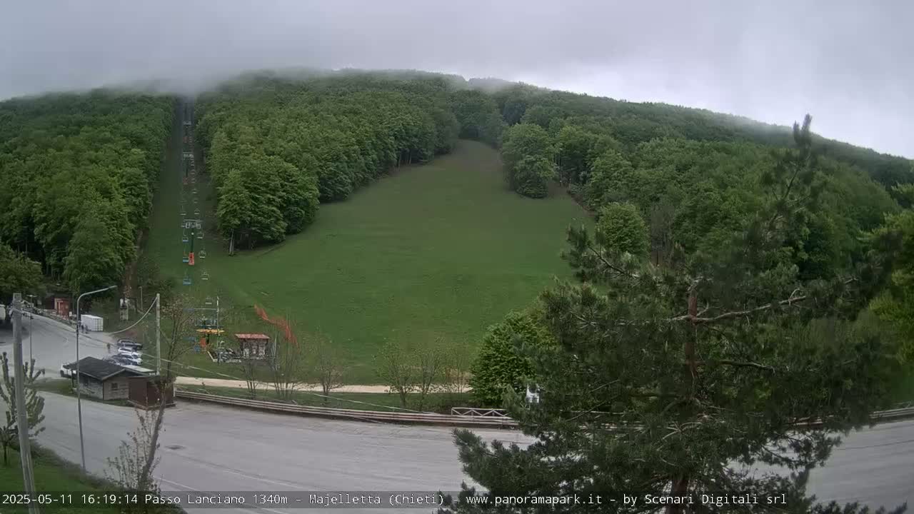 A chairlift ascends a grassy hill surrounded by a lush green forest under an overcast sky.