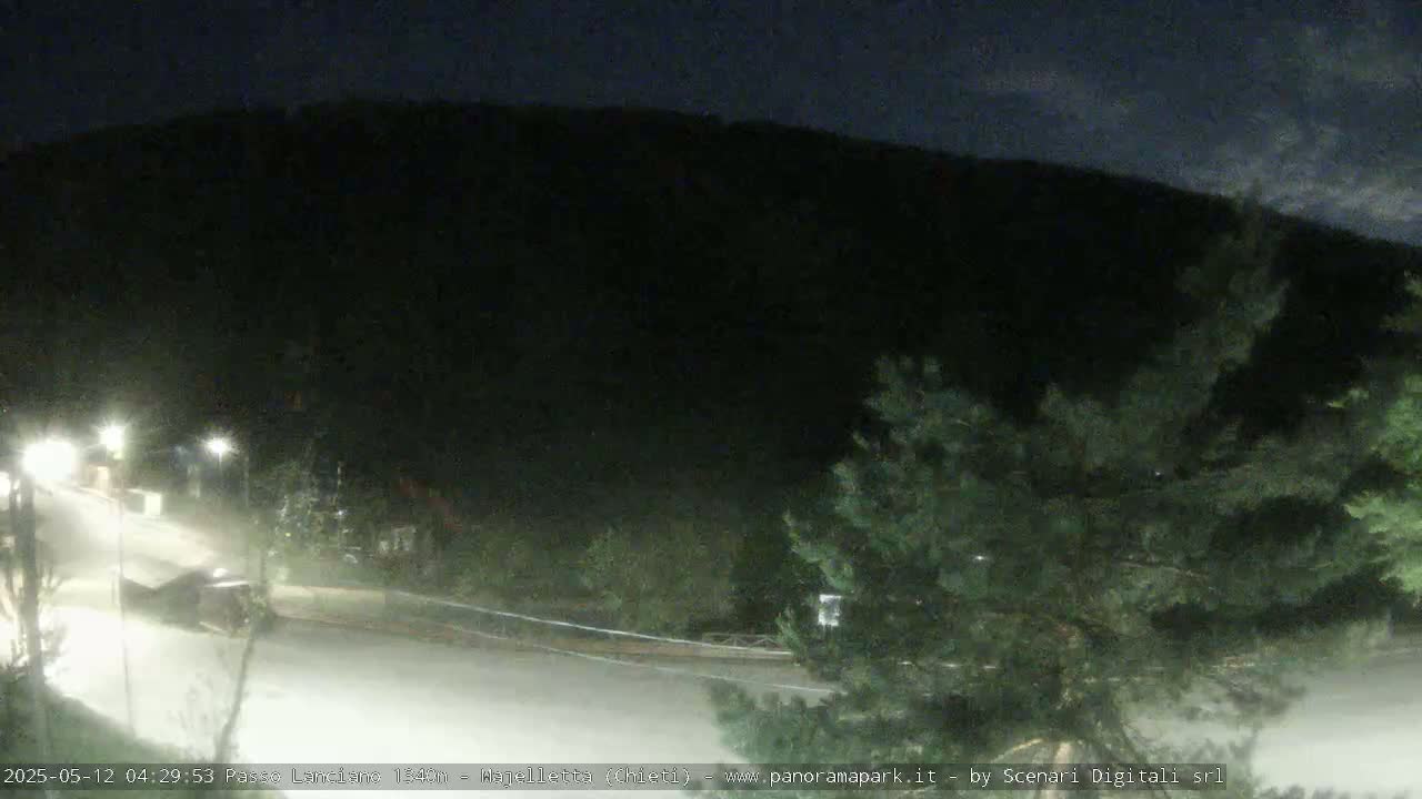 A nighttime, dimly lit road curves through a dark, wooded area under a mostly clear sky.
