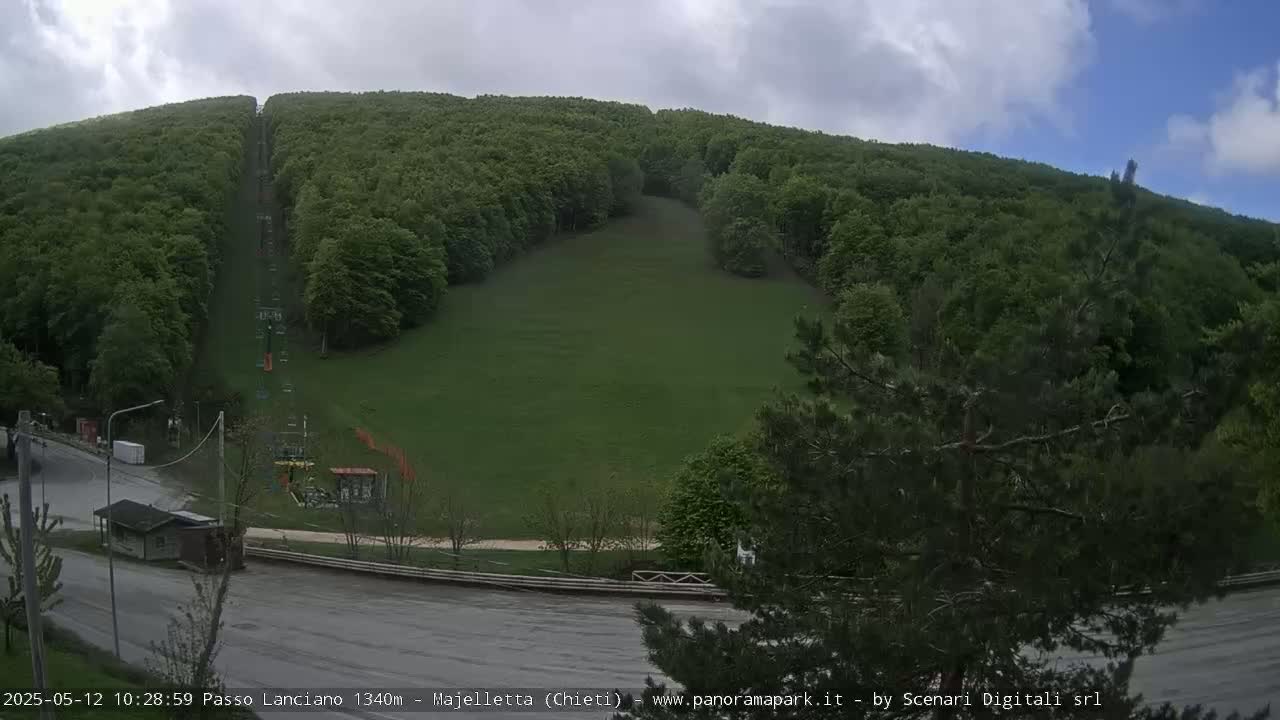 A ski lift ascends a grassy hill surrounded by lush green forests under a cloudy sky.