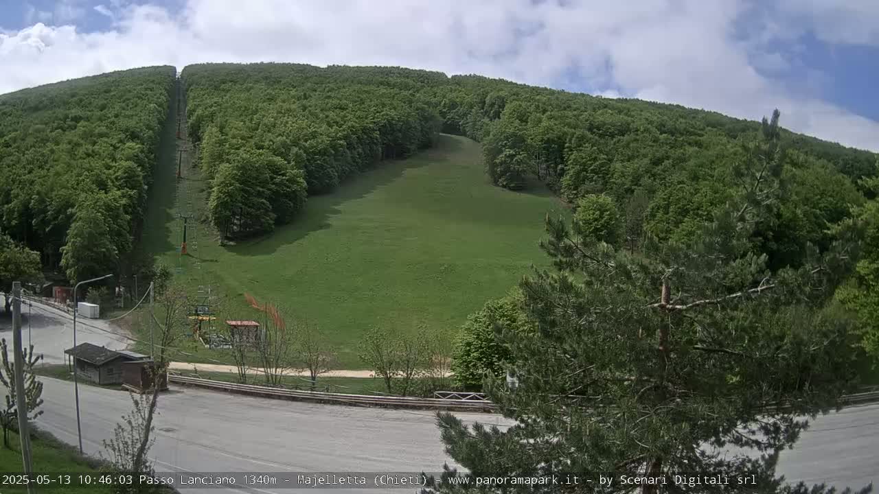 A grassy hillside, partially forested, with a chairlift visible and a paved road at the bottom, under a partly cloudy sky.