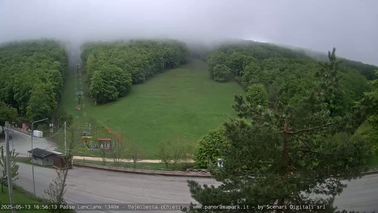 A grassy ski slope is partially shrouded in fog, with a chairlift visible and green trees surrounding it.