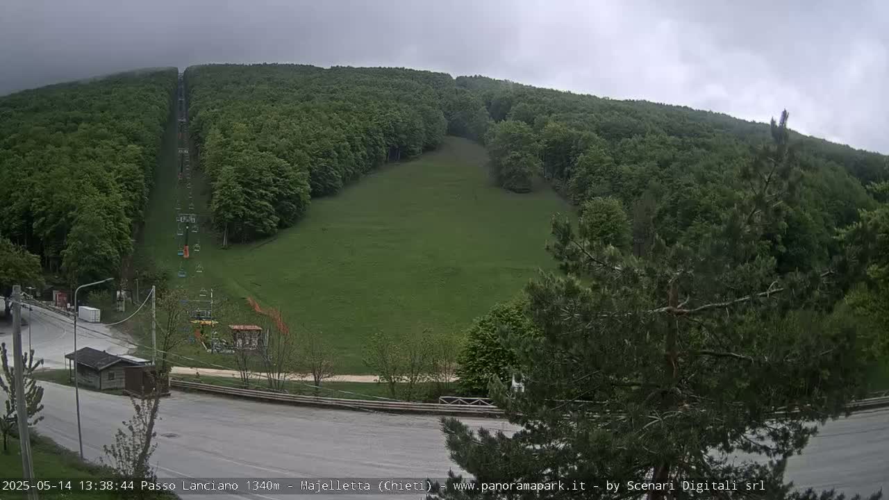 A chairlift ascends a grassy hillside surrounded by a lush green forest under an overcast sky.