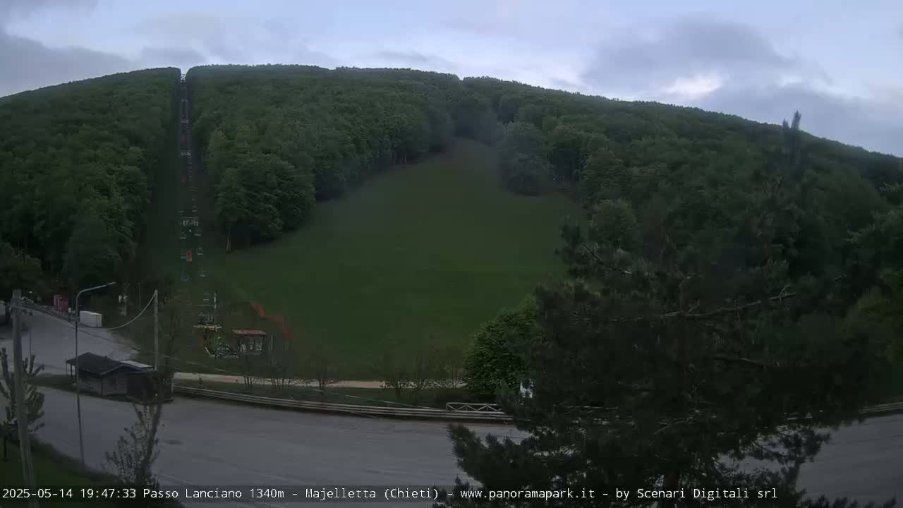 A grassy clearing with a chairlift runs through a dense forest under an overcast sky.
