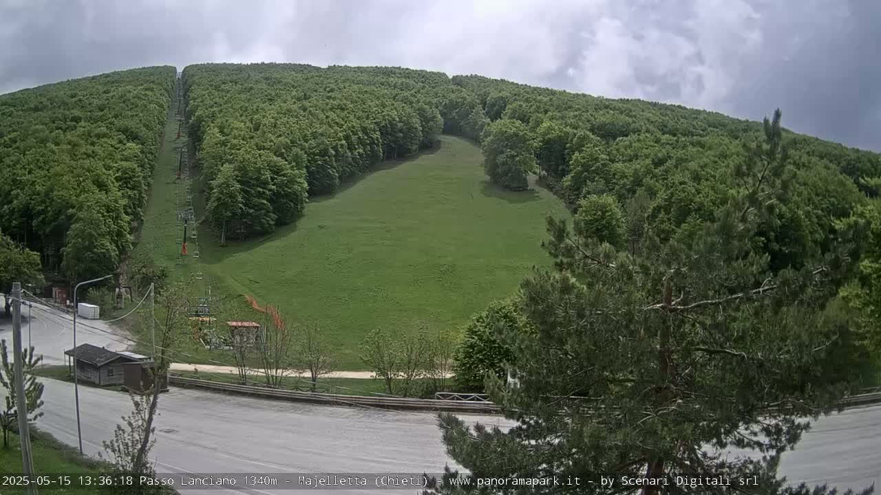A grassy hillside, mostly covered in lush green trees, features a chairlift ascending its center under an overcast sky.