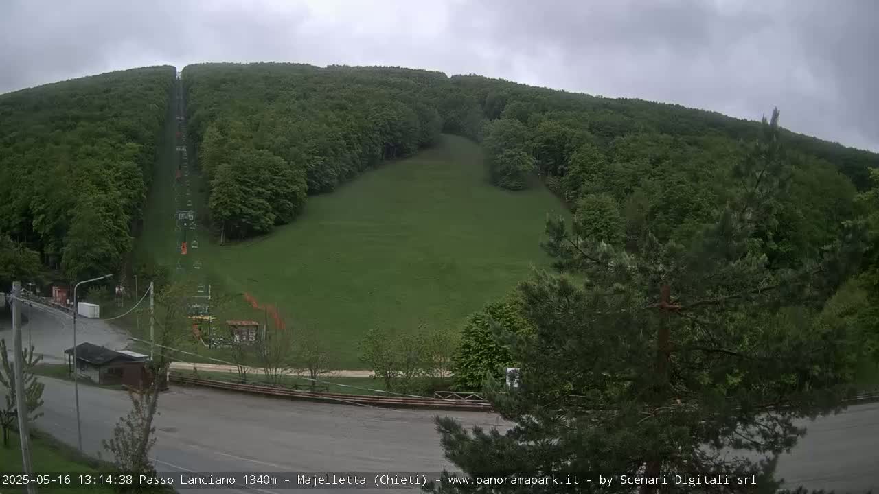 A grassy hillside with a chairlift running up its center is surrounded by lush green forests under an overcast sky.