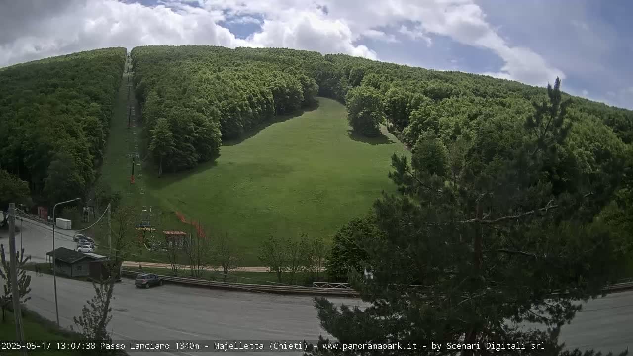 A grassy hillside with a chairlift running through a lush green forest under a partly cloudy sky.