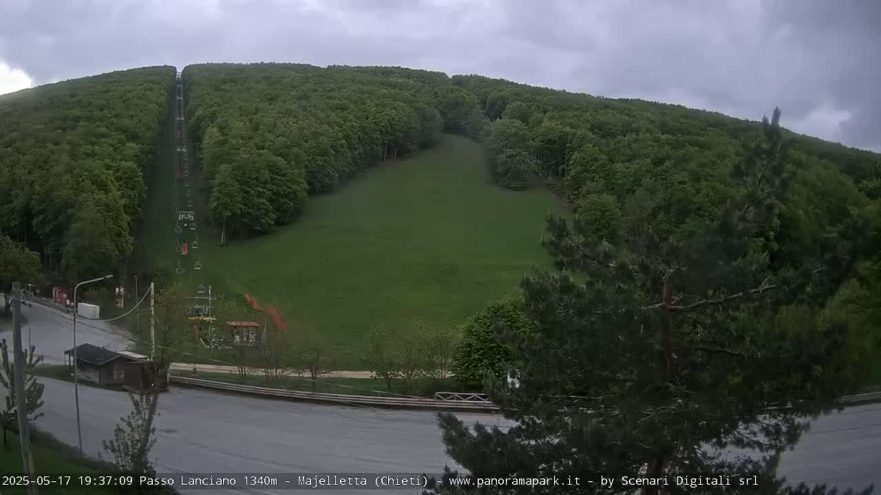 A chairlift ascends a grassy hill surrounded by a lush green forest under an overcast sky.