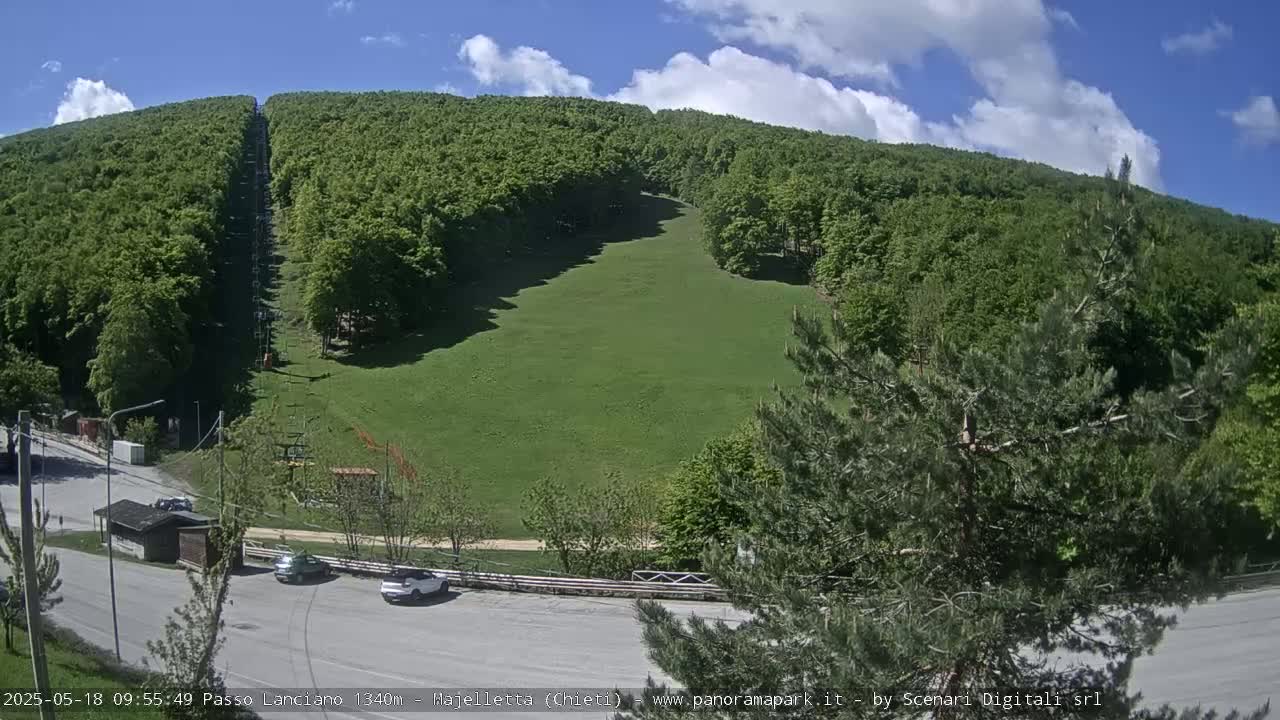 A grassy hillside, mostly covered in lush green trees, with a chairlift visible and a few cars parked in a small lot underneath, under a partly cloudy sky.