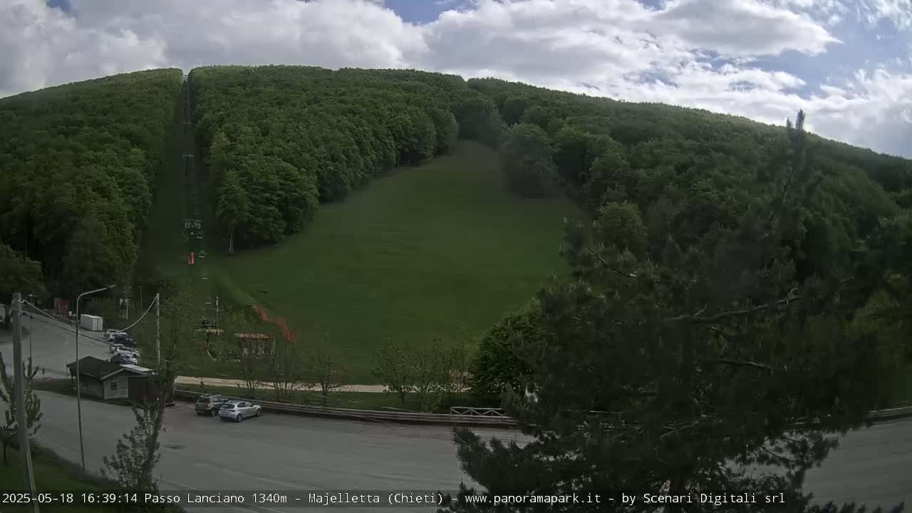 A grassy hillside, largely covered with lush green trees, features a chairlift ascending to its peak under a partly cloudy sky.