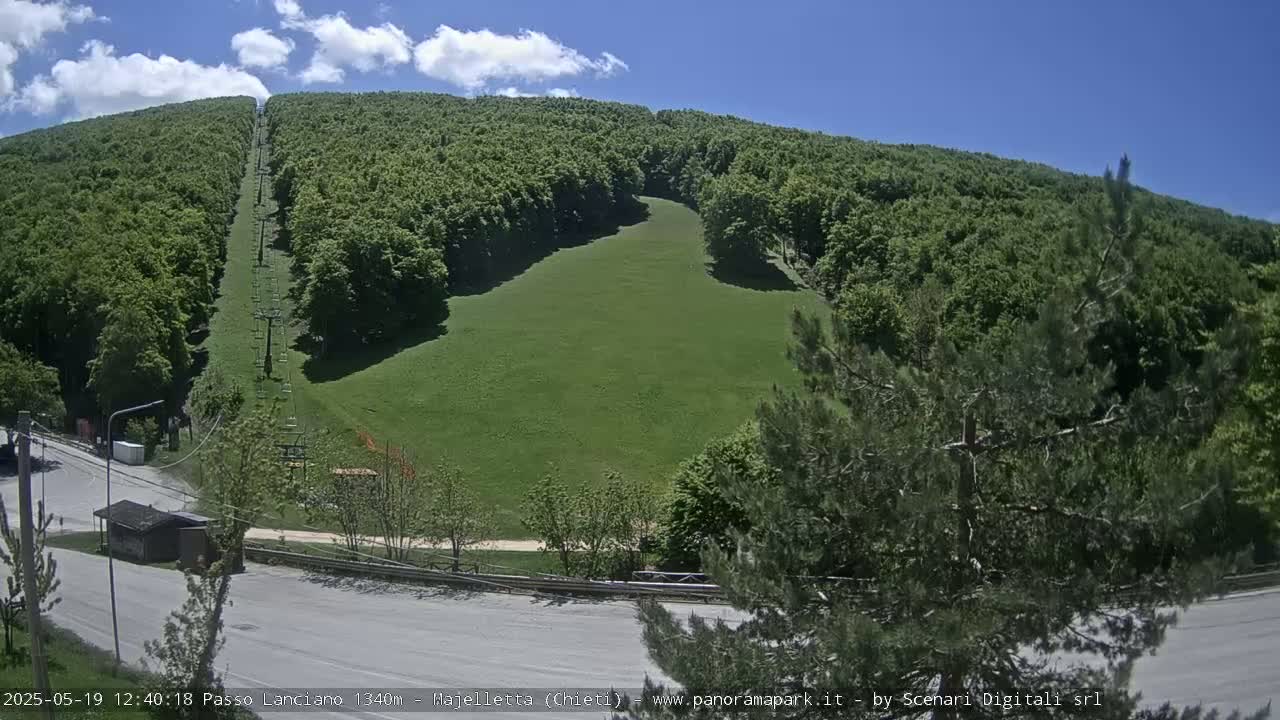 A grassy hill with a chairlift running up its center is surrounded by lush green forests under a partly cloudy sky.